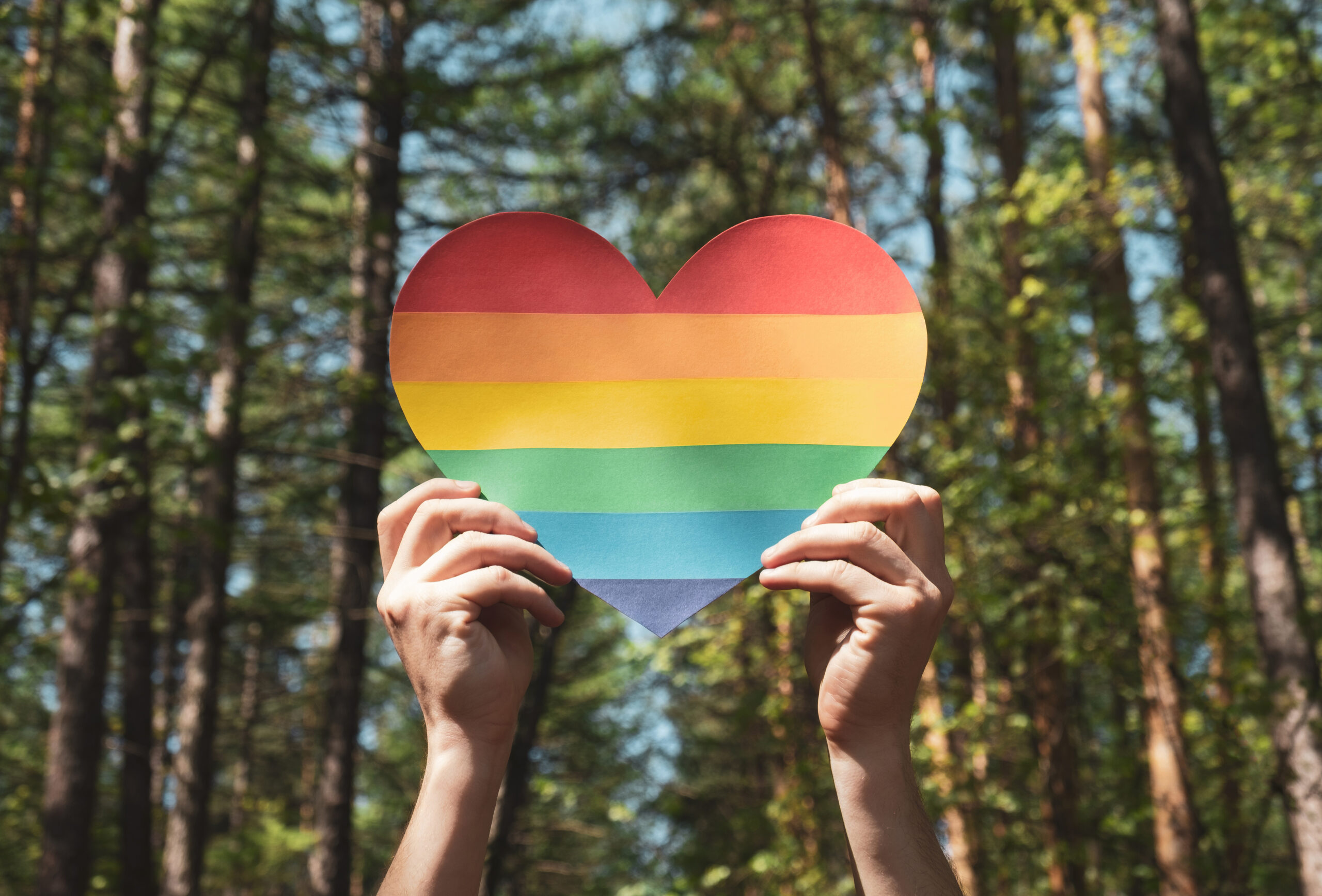 Hände halten ein Regenbogen-Herz im Wald