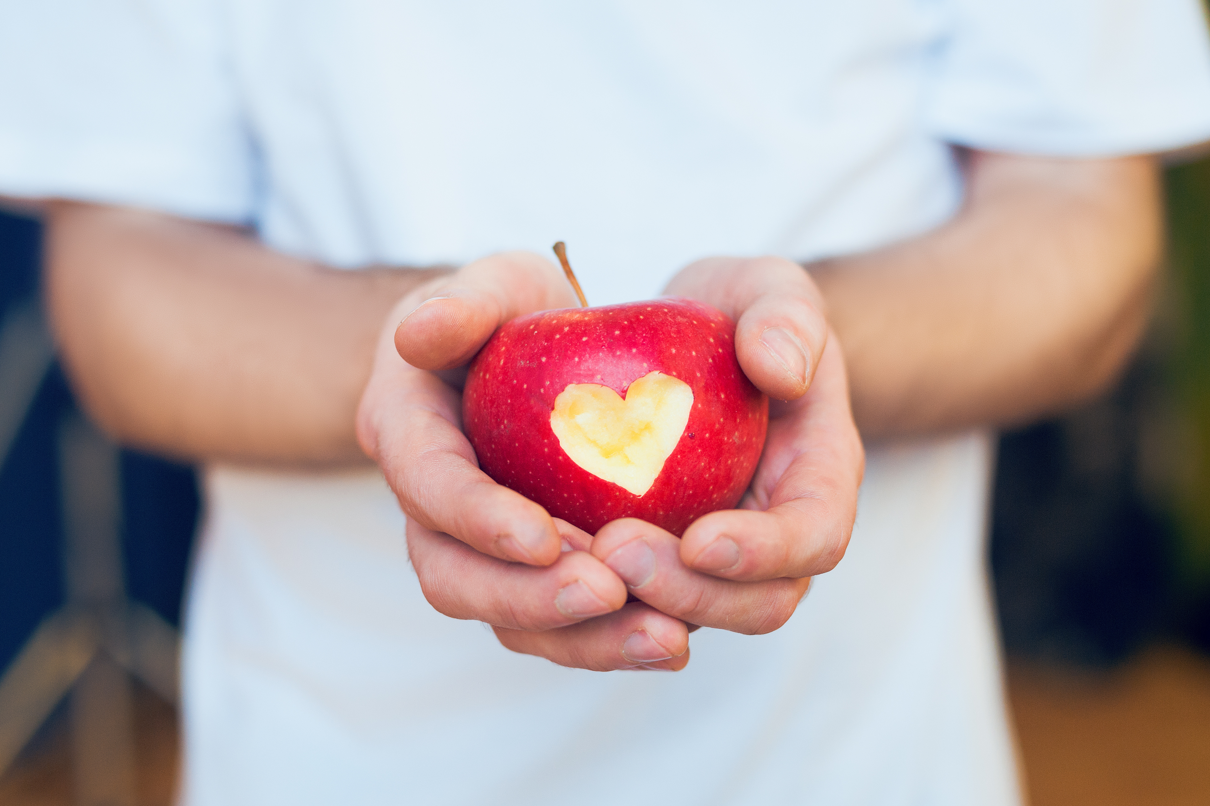 Ein roter Apfel zeigt sein Inneres in Form eines Herzens. Der Apfel wird in geöffneten Händen von einer Person gehalten.